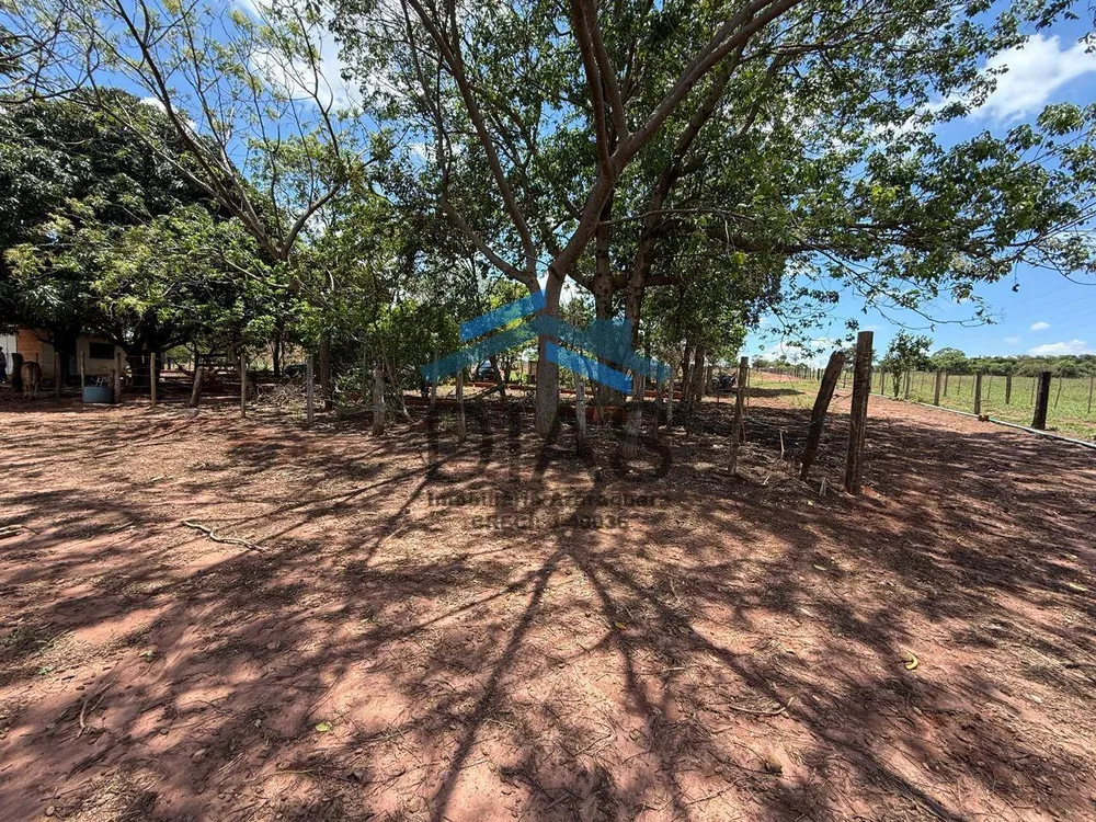 Terreno, 8 hectares - Foto 6