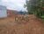Terreno, 517 m² - Foto 1