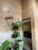 Casa, 2 quartos, 137 m² - Foto 6