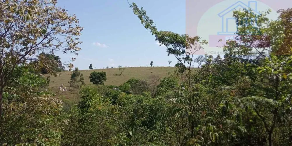 Sítio, 7 hectares - Foto 12