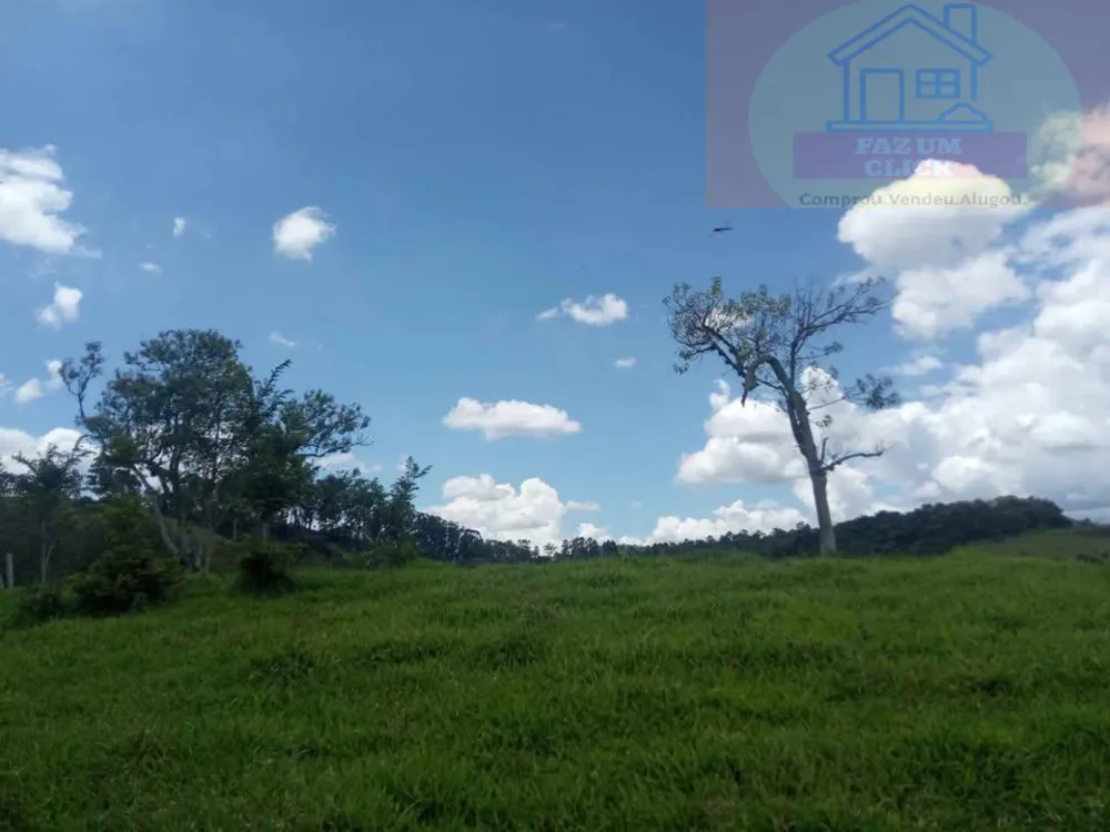 Sítio, 7 hectares - Foto 11