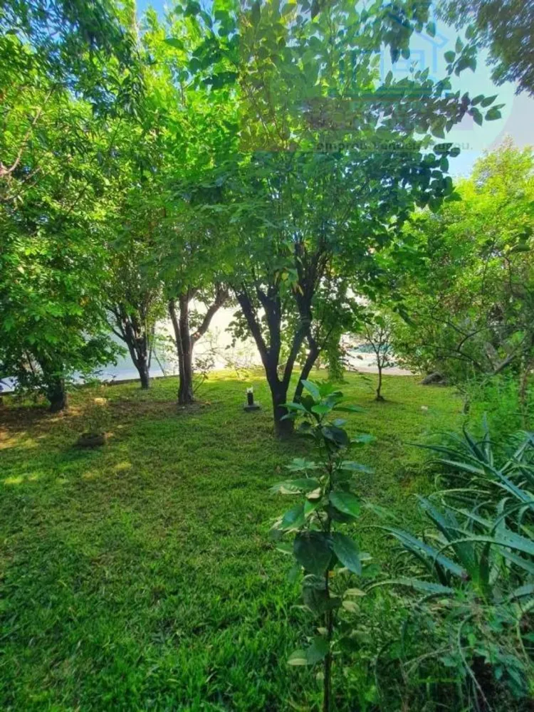 Casa, 4 quartos, 520 m² - Foto 3