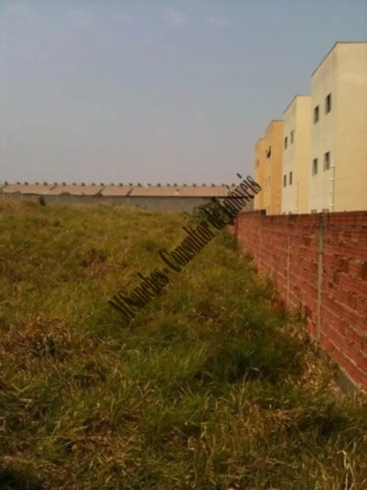 Terreno - Foto 3