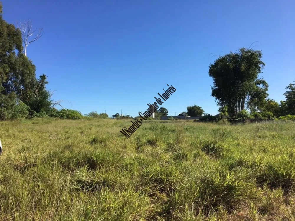 Terreno, 4 hectares - Foto 4