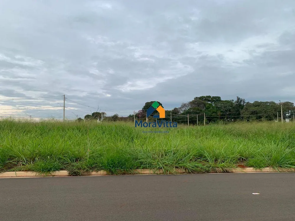 Terreno, 250 m² - Foto 11