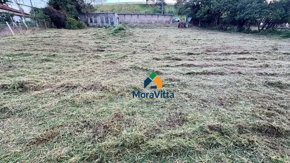 Terreno, 3195 m² - Foto 3