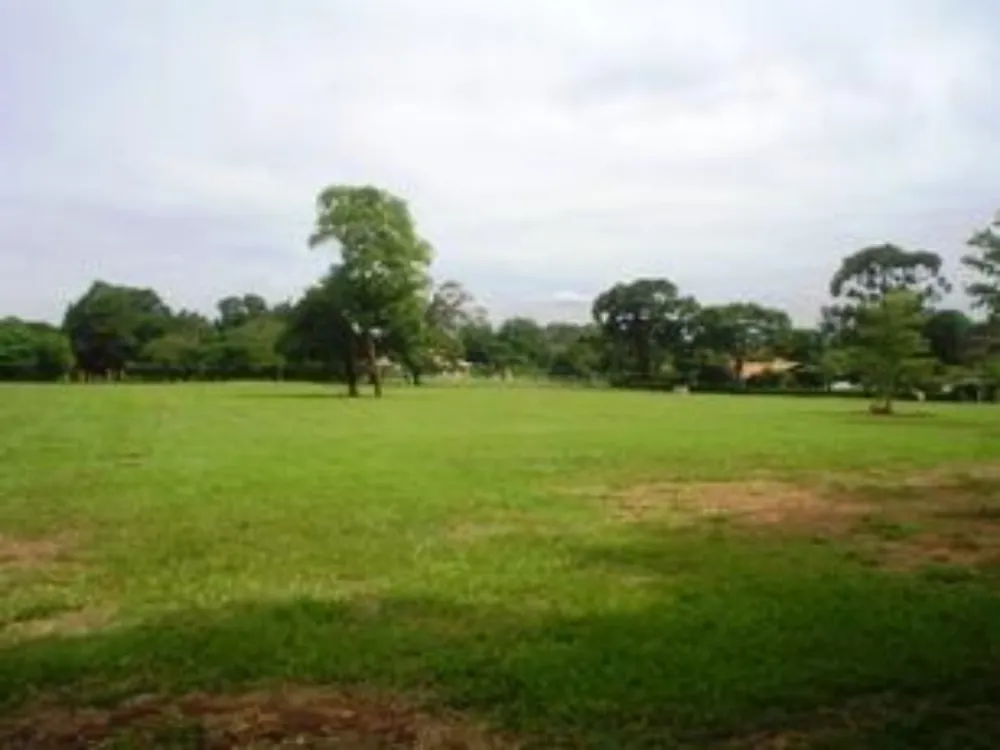 Terreno, 5000 m² - Foto 1