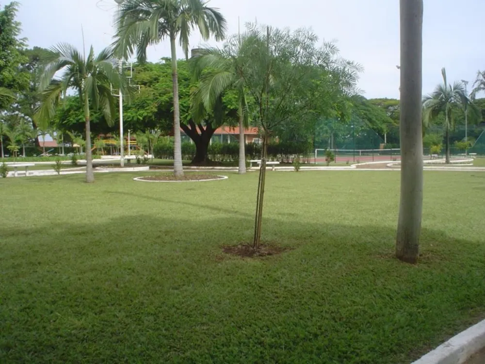 Terreno, 5000 m² - Foto 2