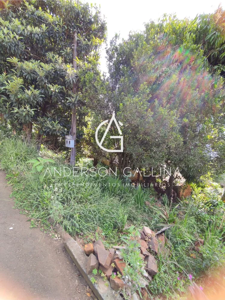 Terreno, 423 m² - Foto 5