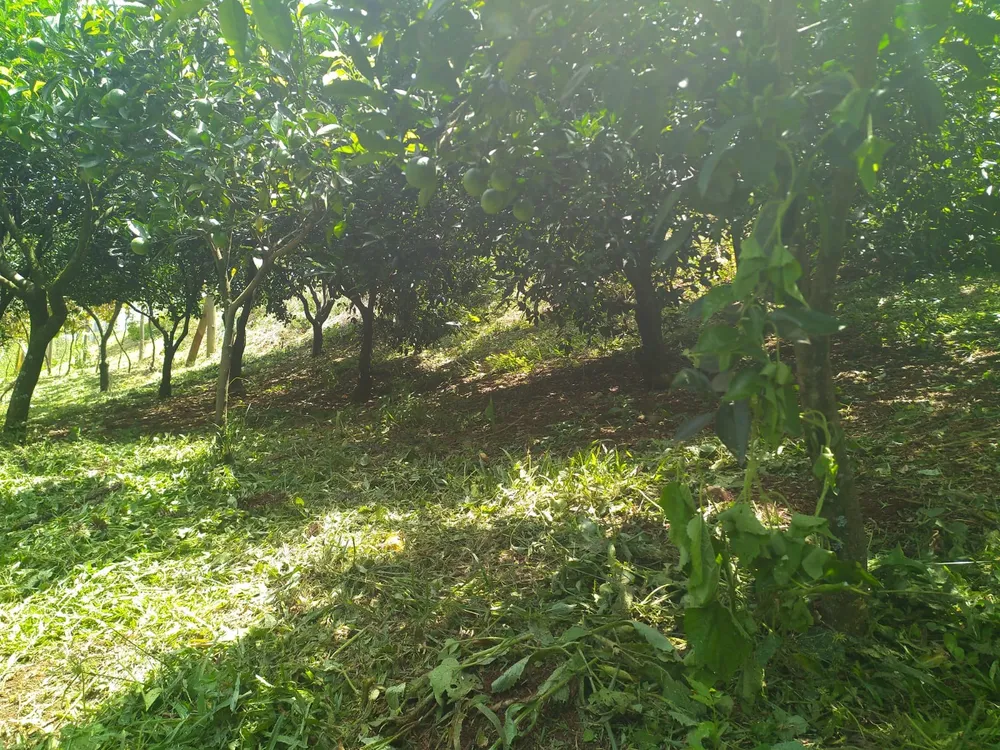 Chácara, 2770 m² - Foto 12