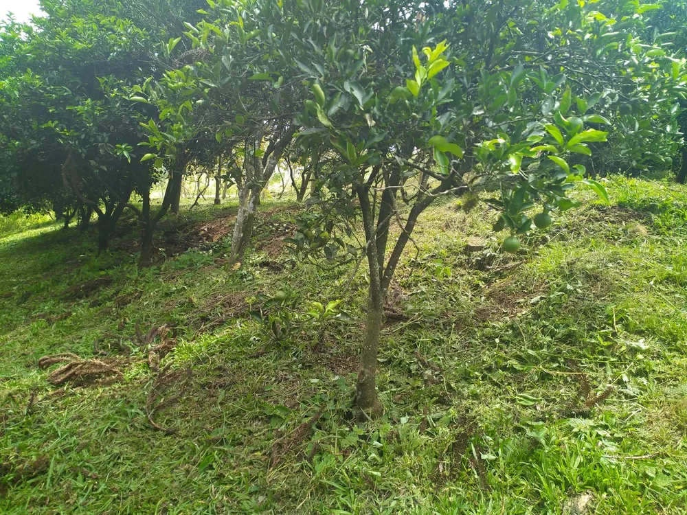Chácara, 2770 m² - Foto 2