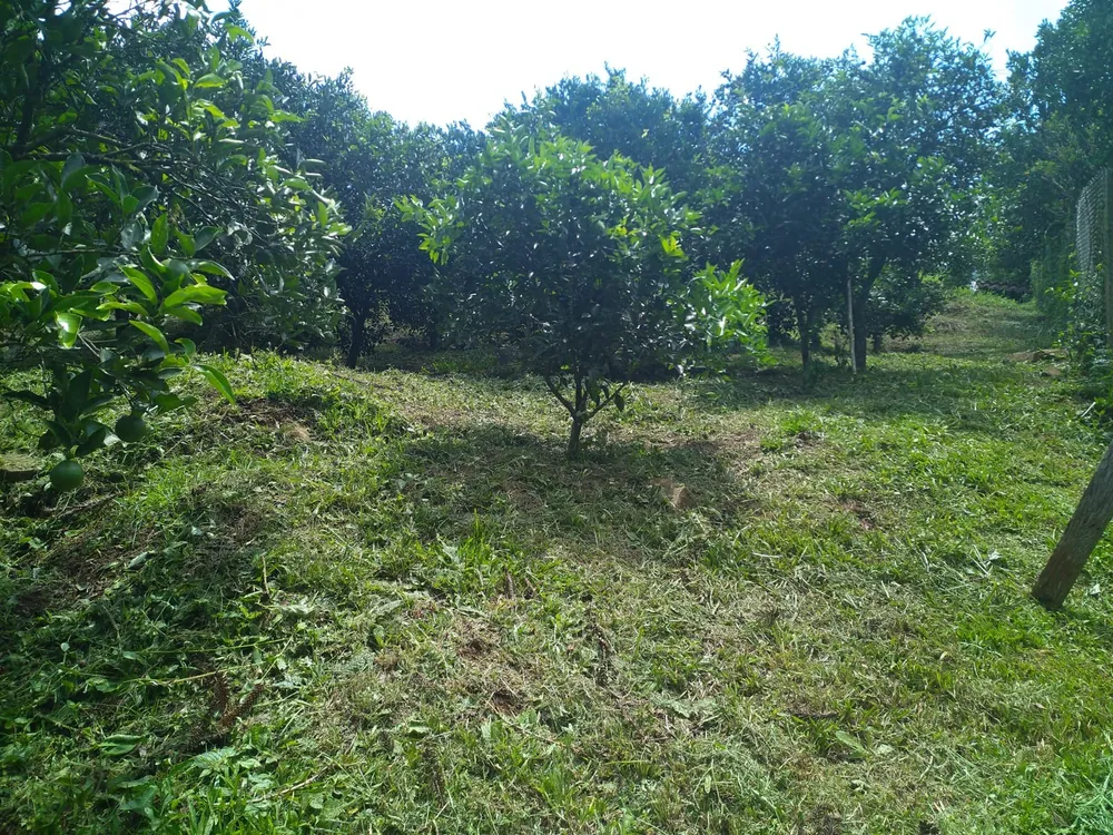 Chácara, 2770 m² - Foto 7