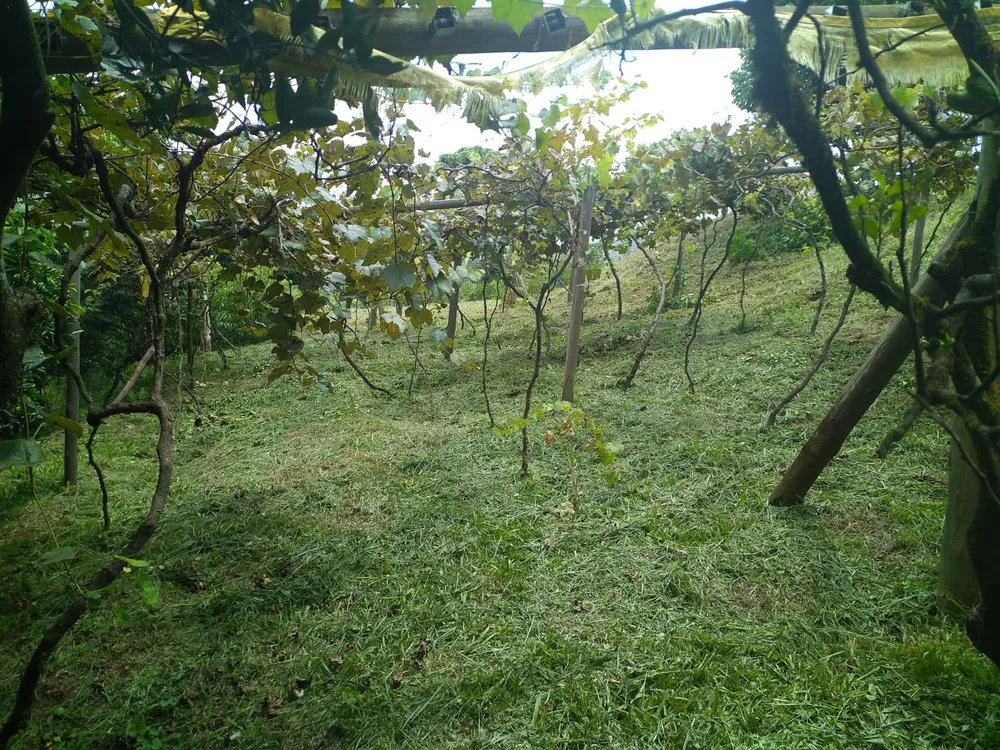 Chácara, 2770 m² - Foto 9