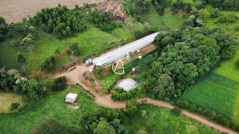 Chácara, 3 quartos - Foto 5