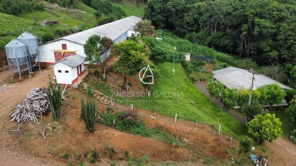 Chácara, 3 quartos - Foto 6