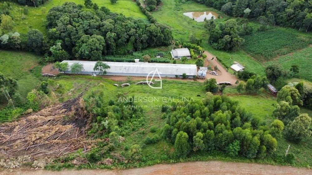 Chácara, 3 quartos - Foto 3