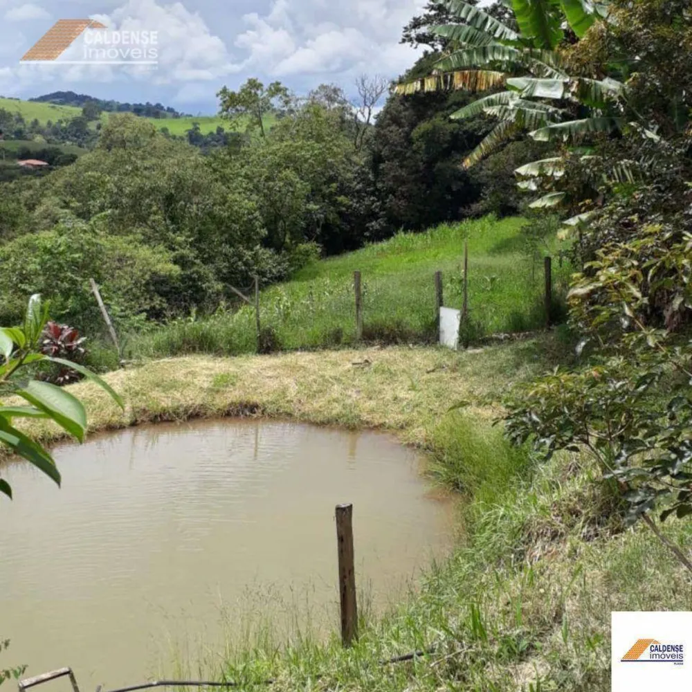Chácara, 2 quartos, 2 hectares - Foto 4