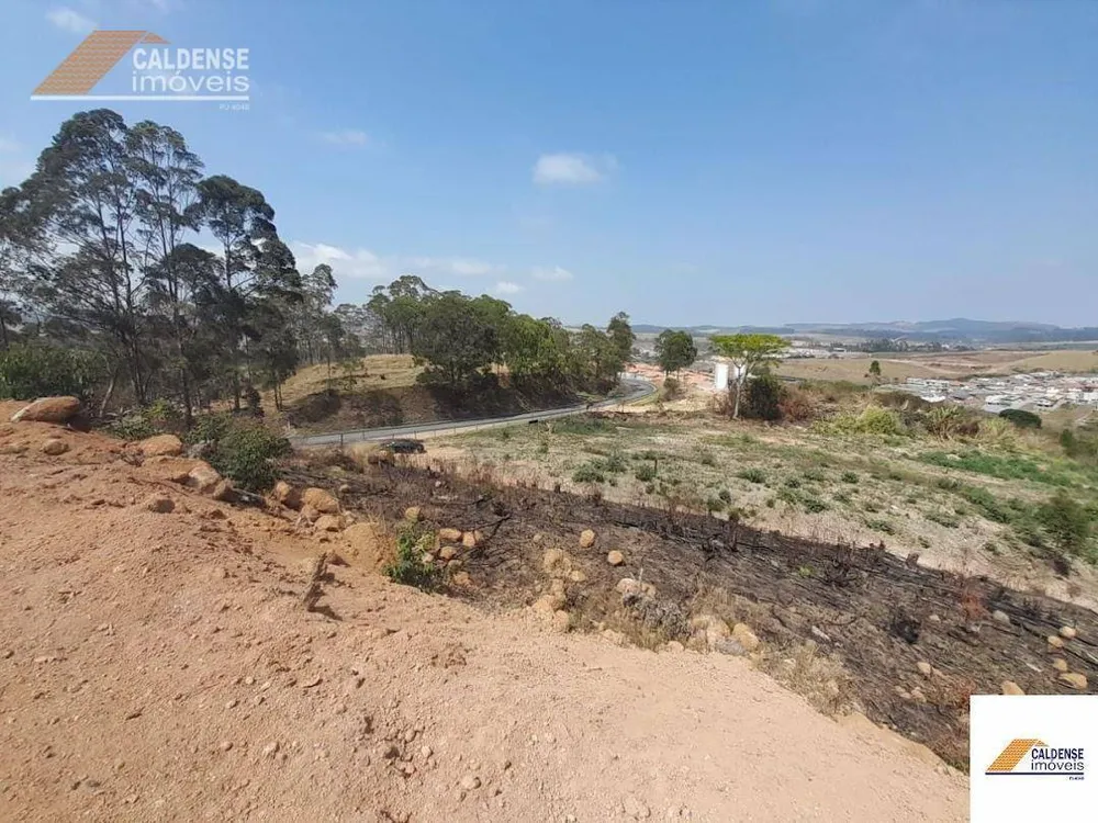 Terreno, 2 hectares - Foto 6