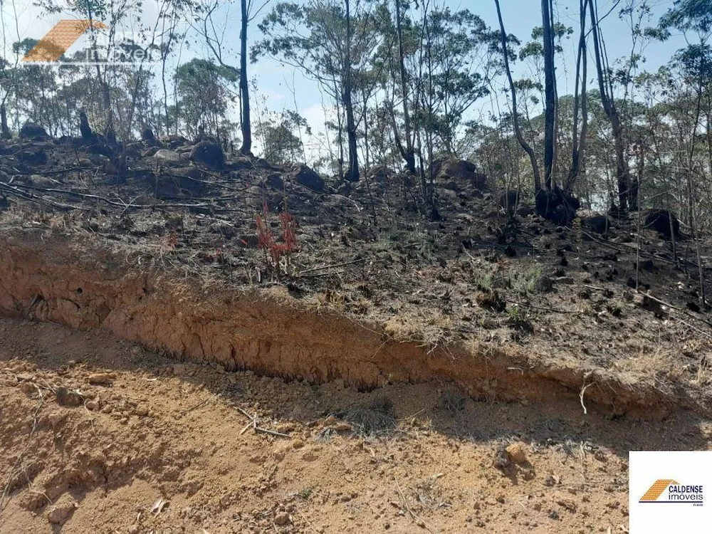 Terreno, 2 hectares - Foto 8