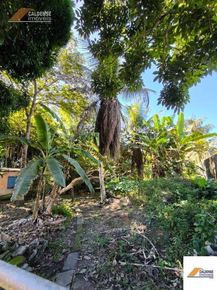 Terreno - Foto 2
