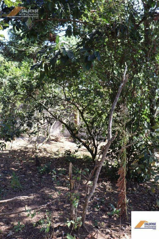 Chácara, 3 quartos, 2163 m² - Foto 14