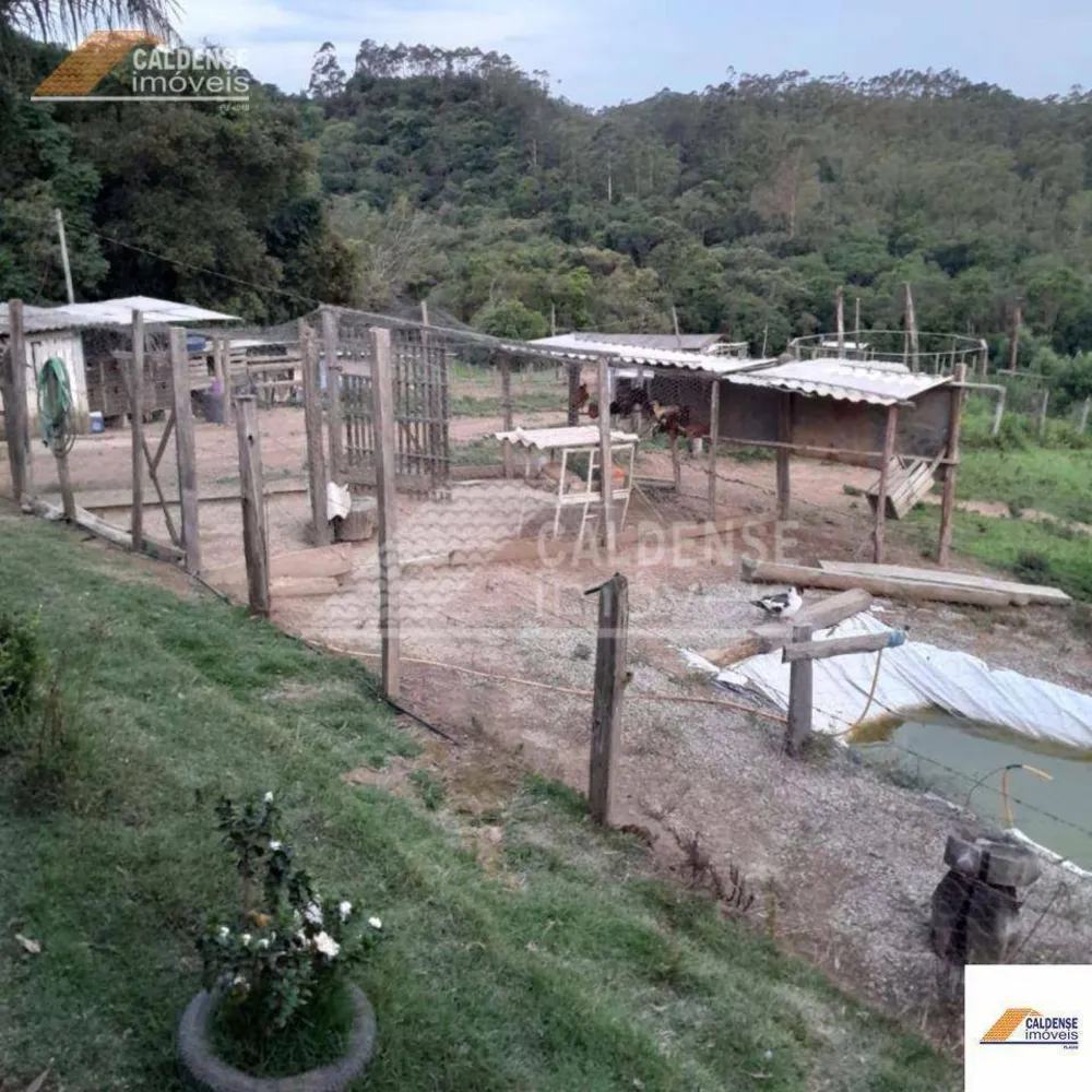 Sítio, 2 quartos, 4 hectares - Foto 4