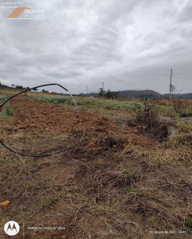 Terreno, 8000 m² - Foto 4