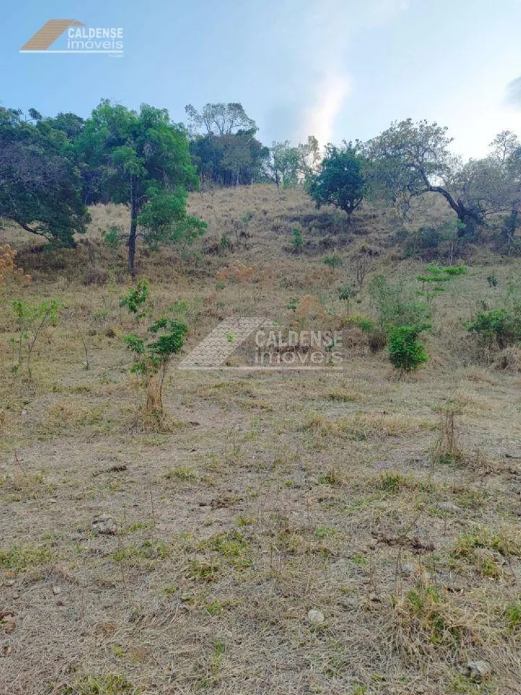 Chácara, 3 hectares - Foto 4