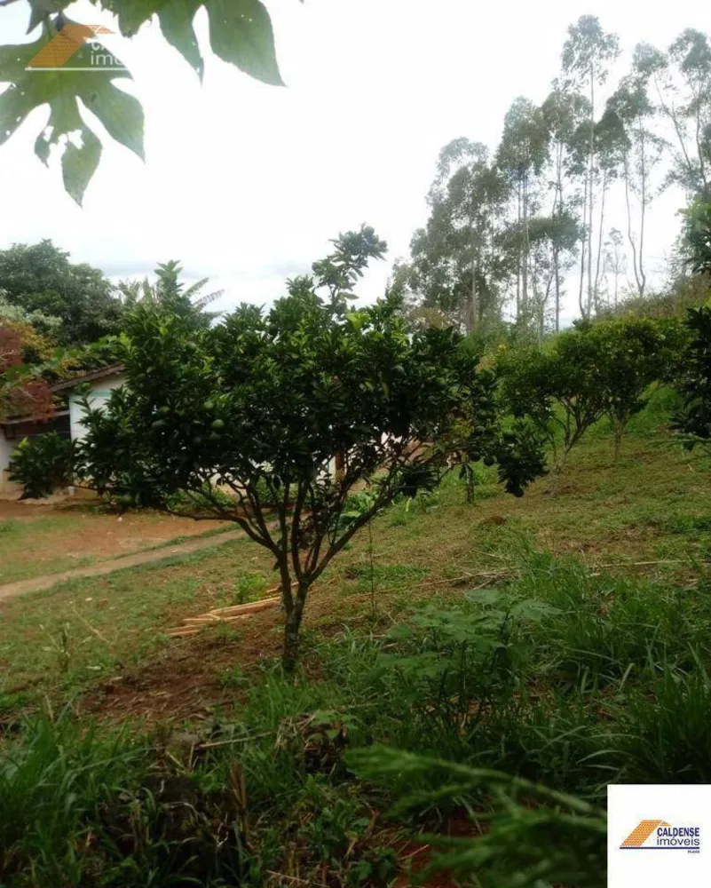 Terreno, 5650 m² - Foto 5