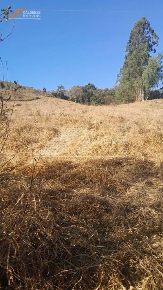 Chácara, 3 quartos, 1 hectares - Foto 3