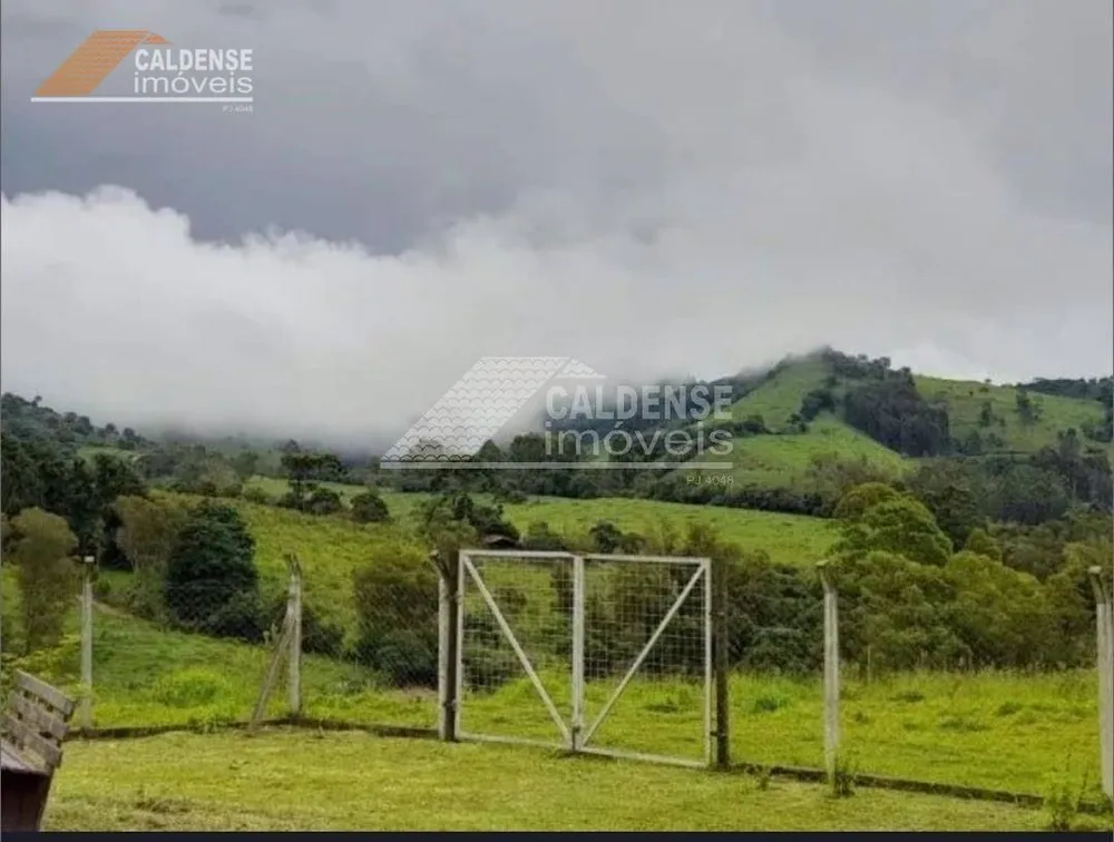 Chácara, 4 quartos, 2 hectares - Foto 11