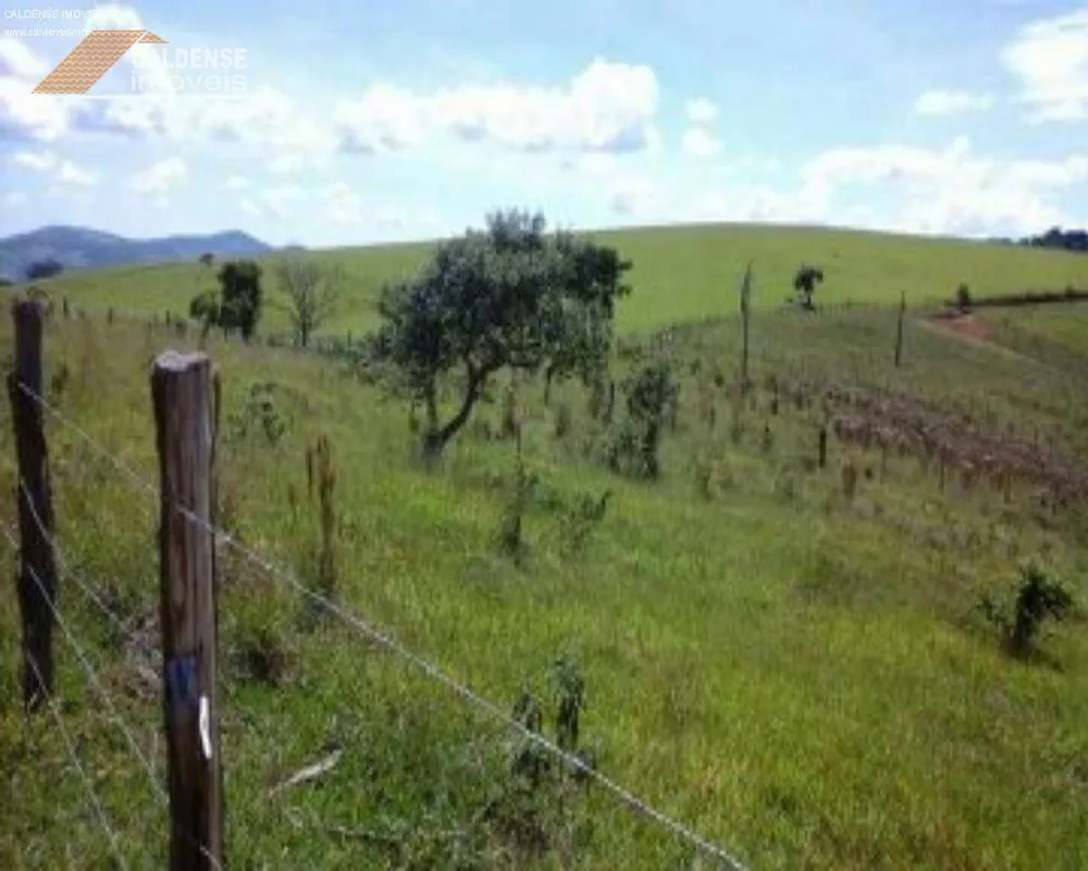 Terreno, 7000 m² - Foto 5