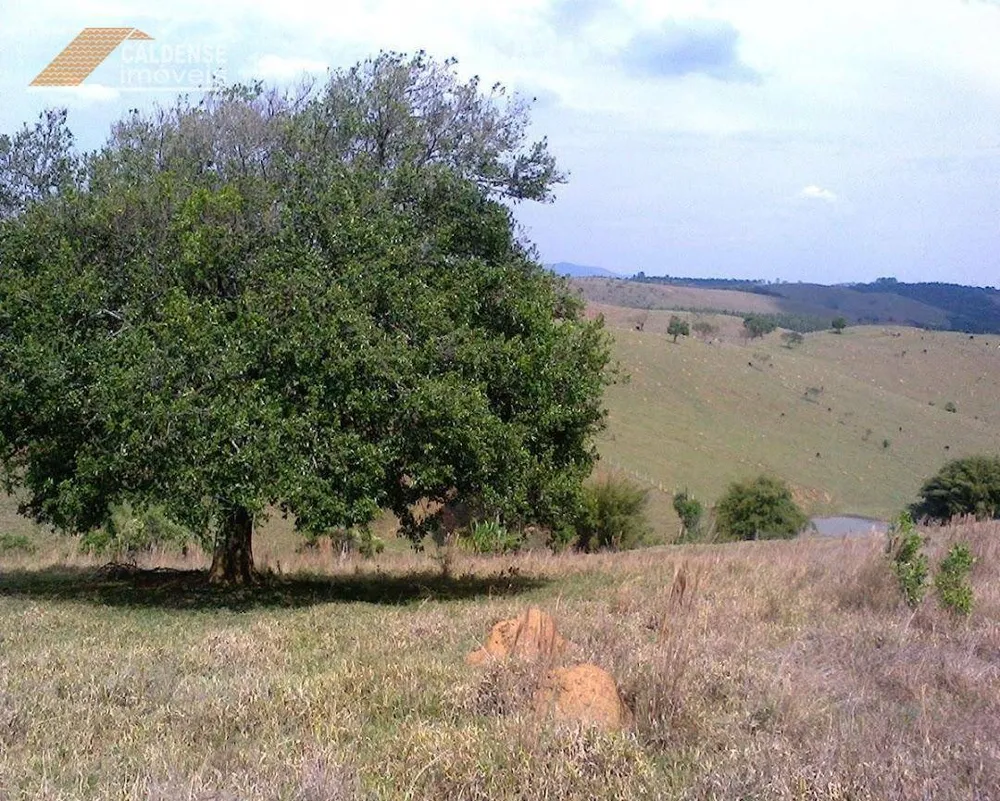 Terreno, 7000 m² - Foto 6