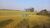 Fazenda, 24 hectares - Foto 3