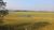 Fazenda, 24 hectares - Foto 4