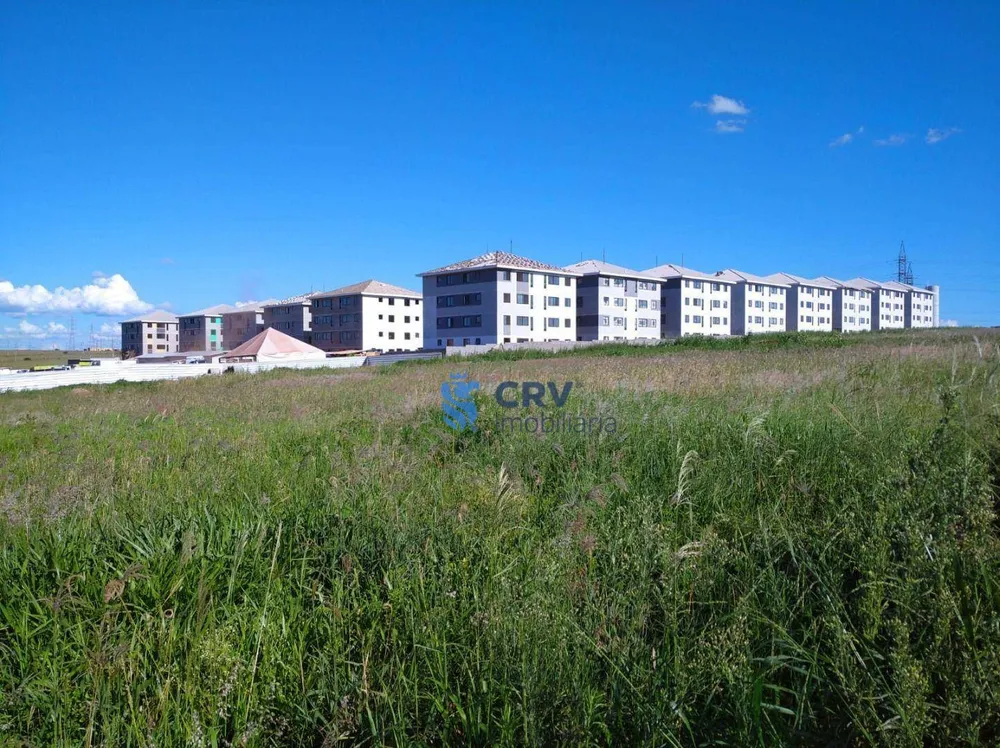 Terreno, 5205 m² - Foto 3