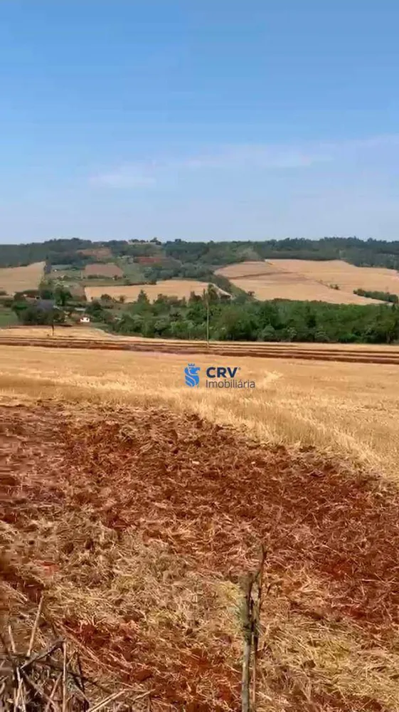 Terreno, 17 hectares - Foto 4