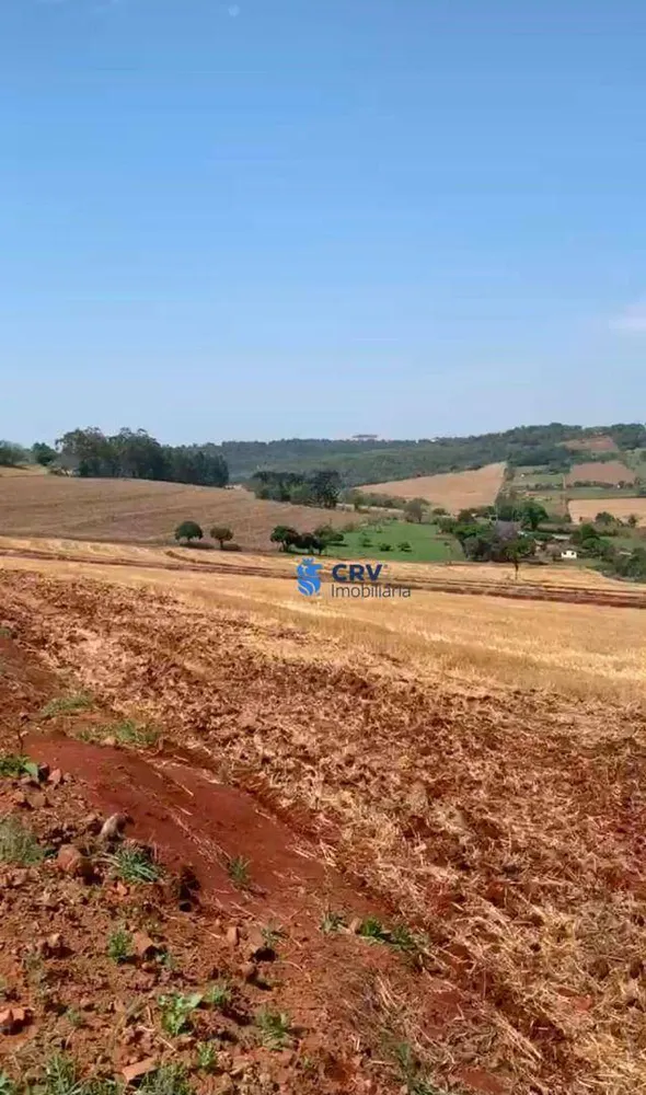 Terreno, 17 hectares - Foto 3