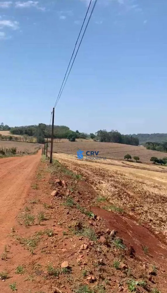 Terreno, 17 hectares - Foto 6