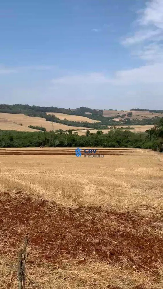 Terreno, 17 hectares - Foto 2