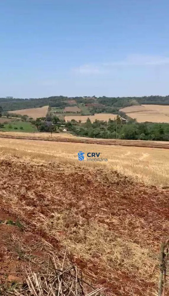 Terreno, 17 hectares - Foto 5