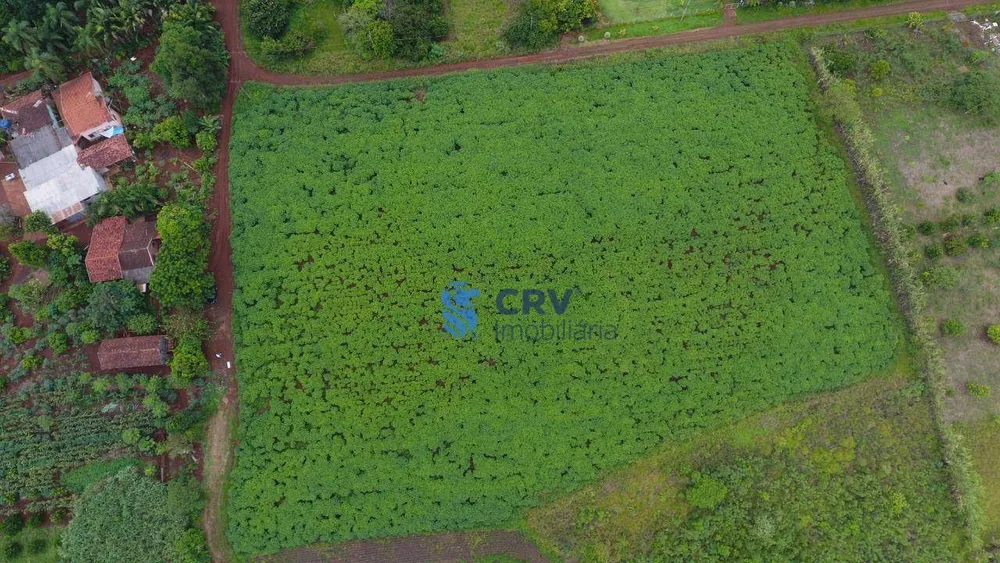 Chácara, 1 quarto, 2 hectares - Foto 1
