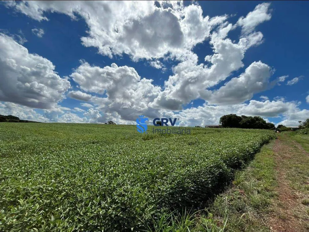 Terreno, 4 hectares - Foto 3