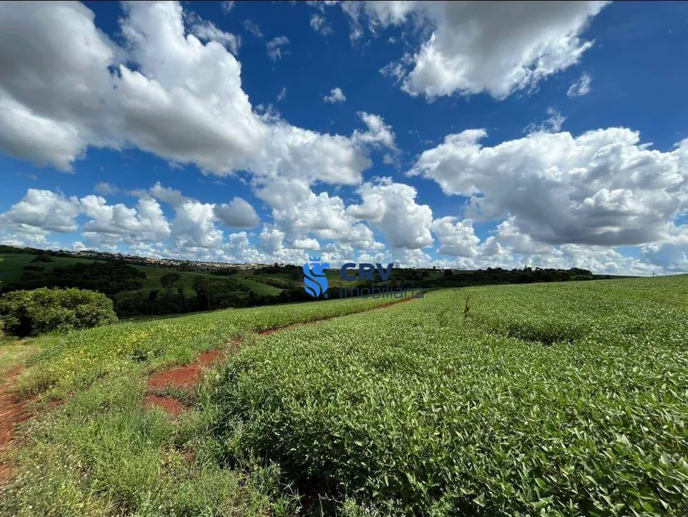 Terreno, 4 hectares - Foto 1