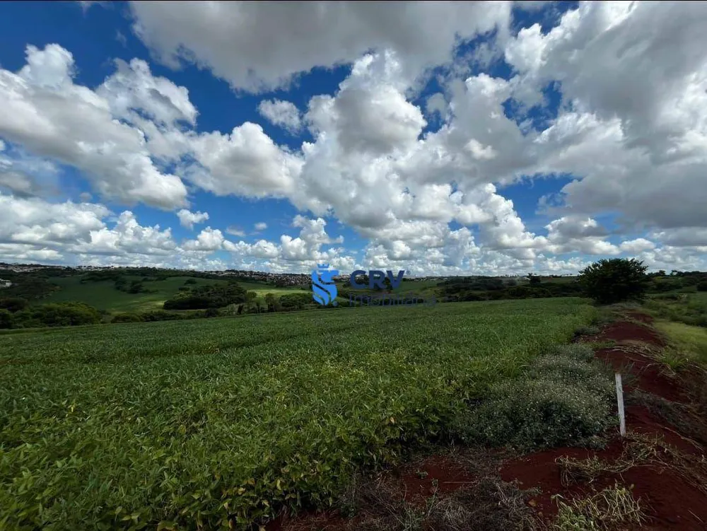 Terreno, 4 hectares - Foto 4