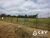 Terreno, 7258 m² - Foto 3