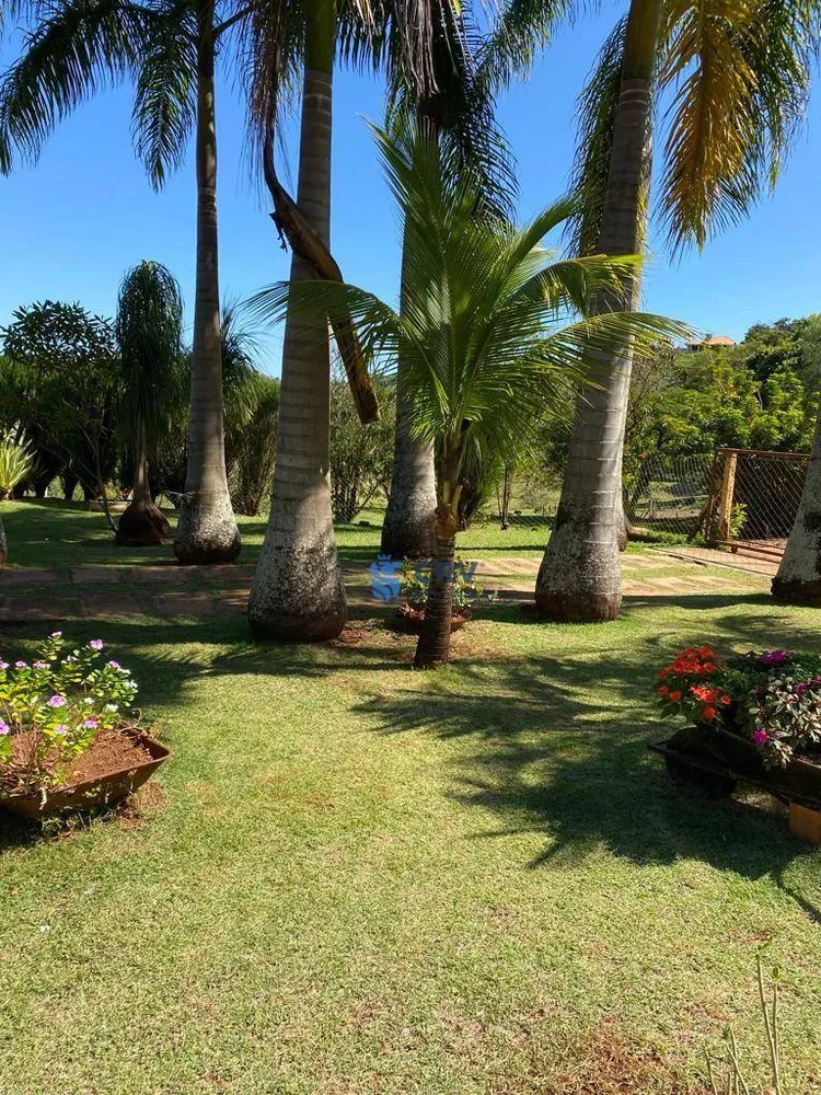Chácara, 3 quartos, 2 hectares - Foto 7