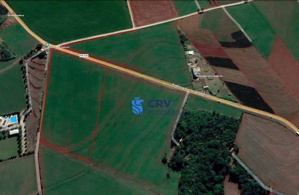 Sítio, 7 hectares - Foto 1