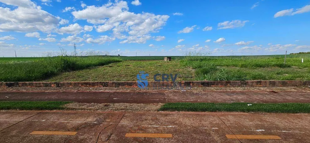 Terreno, 250 m² - Foto 1