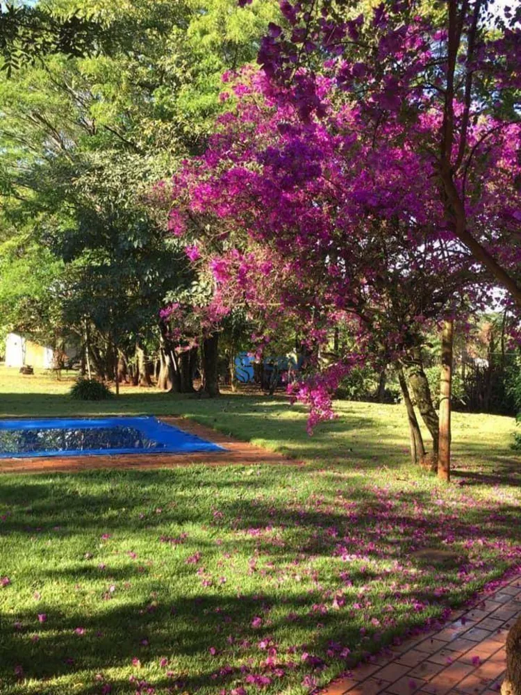 Chácara, 3 quartos, 4800 m² - Foto 4